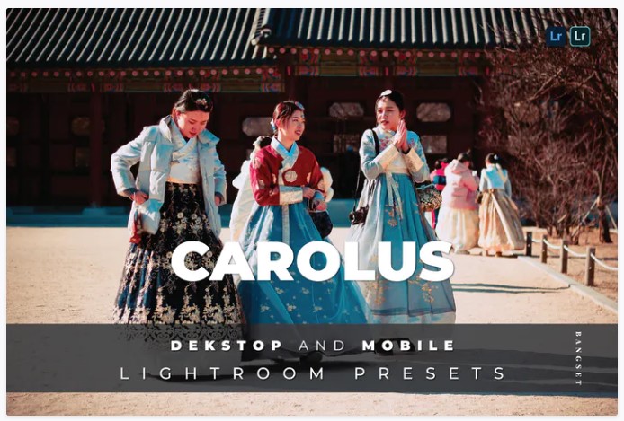 [Elements.Envato] Carolus Desktop and Mobile Light_0.jpg